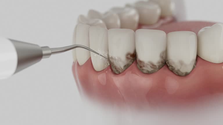 Reliable Dental contractor in Powell, WY by Dentist Open Now